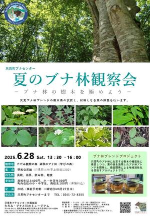 夏のブナ林観察会_チラシ.jpg